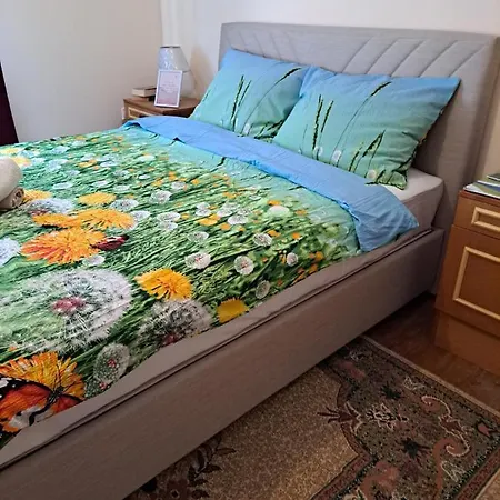 Turisticki Kompleks - Montana ゲストハウス