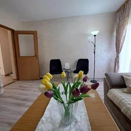 Turisticki Kompleks - Montana ゲストハウス ティエンティシュテ