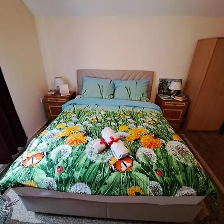 Turisticki Kompleks - Montana ゲストハウス