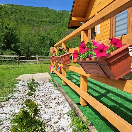 ゲストハウス Turisticki Kompleks - Montana ティエンティシュテ