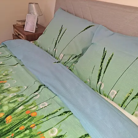 ゲストハウス Turisticki Kompleks - Montana 2*