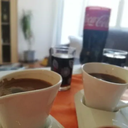 ゲストハウス Turisticki Kompleks - Montana 2*