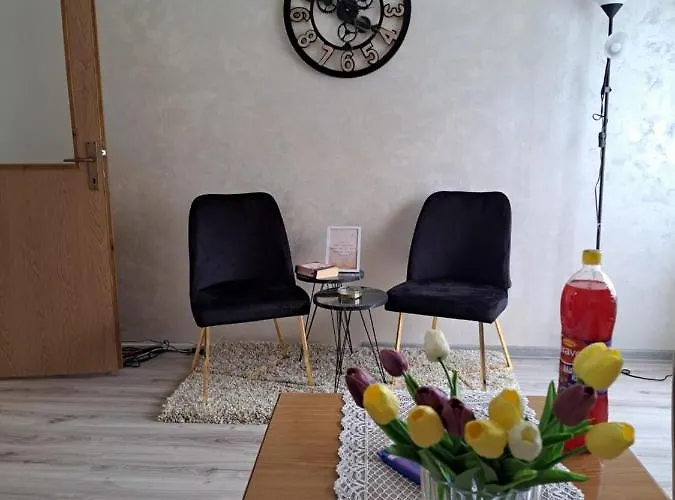 Guest house Turisticki Kompleks - Montana