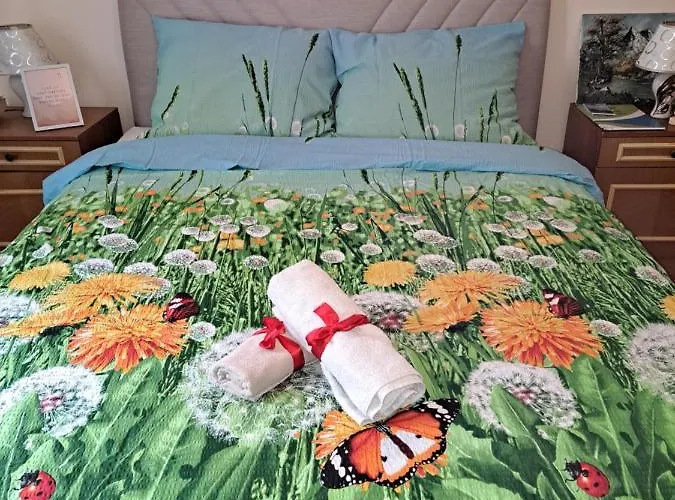 Turisticki Kompleks - Montana