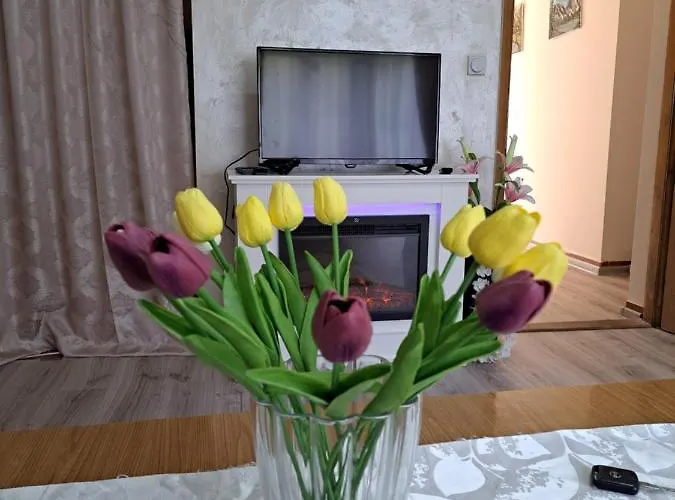 Guest house Turisticki Kompleks - Montana 2*