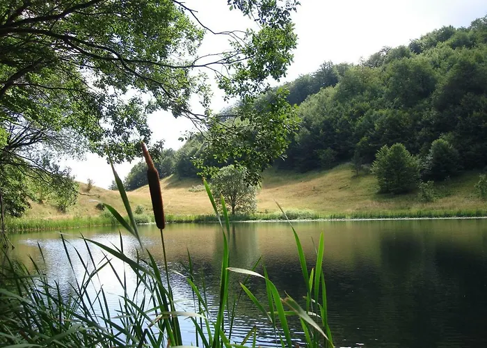 Turisticki Kompleks - Montana Guest house Tjentiste